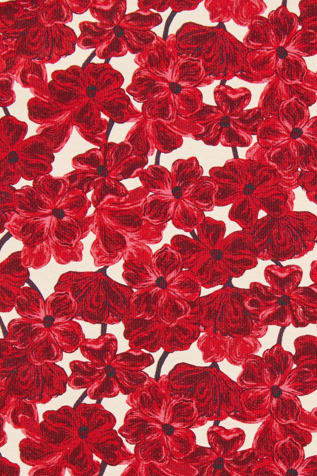 Cannes Top - Monte Solaro Floral