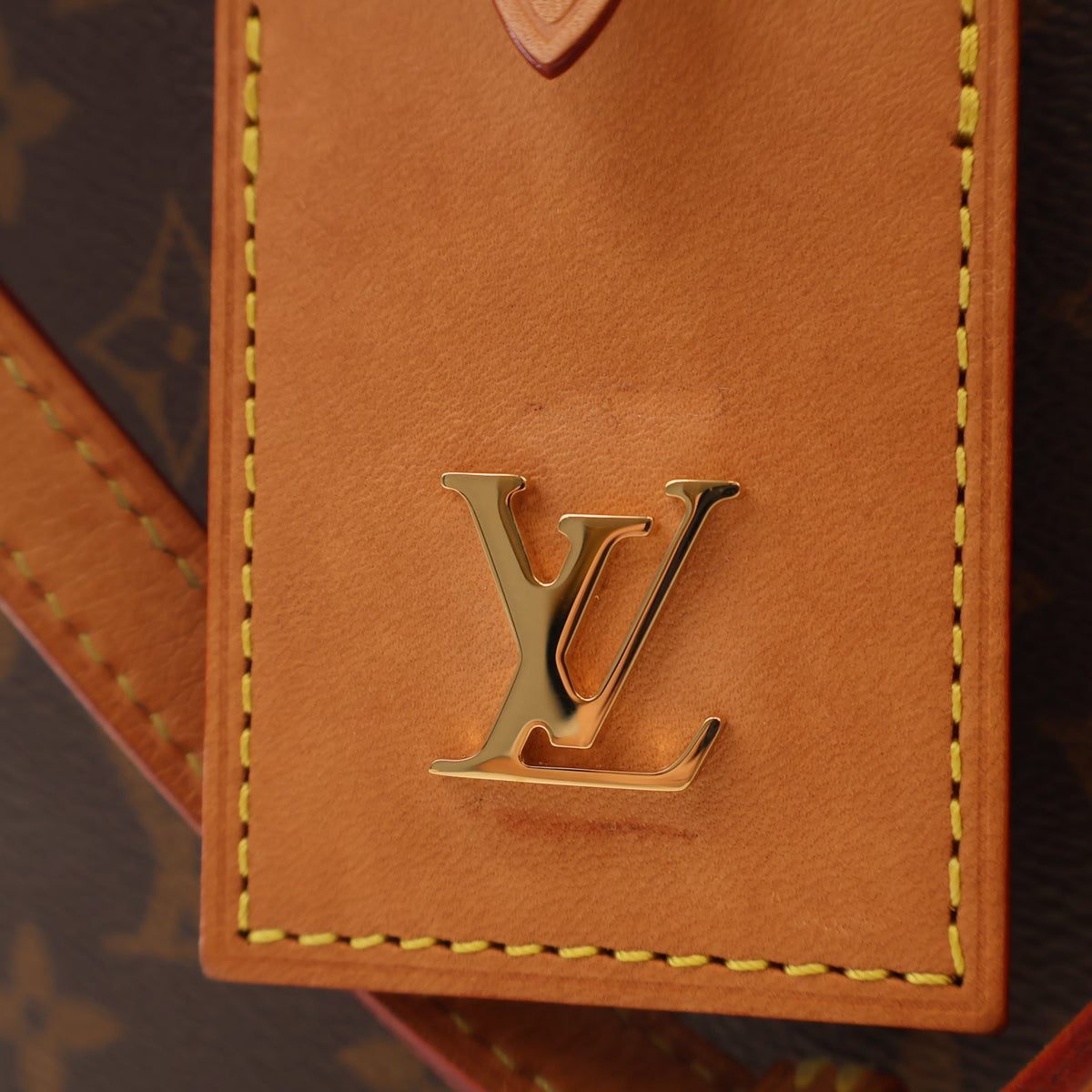 Louis Vuitton Monogram Atlantis GM