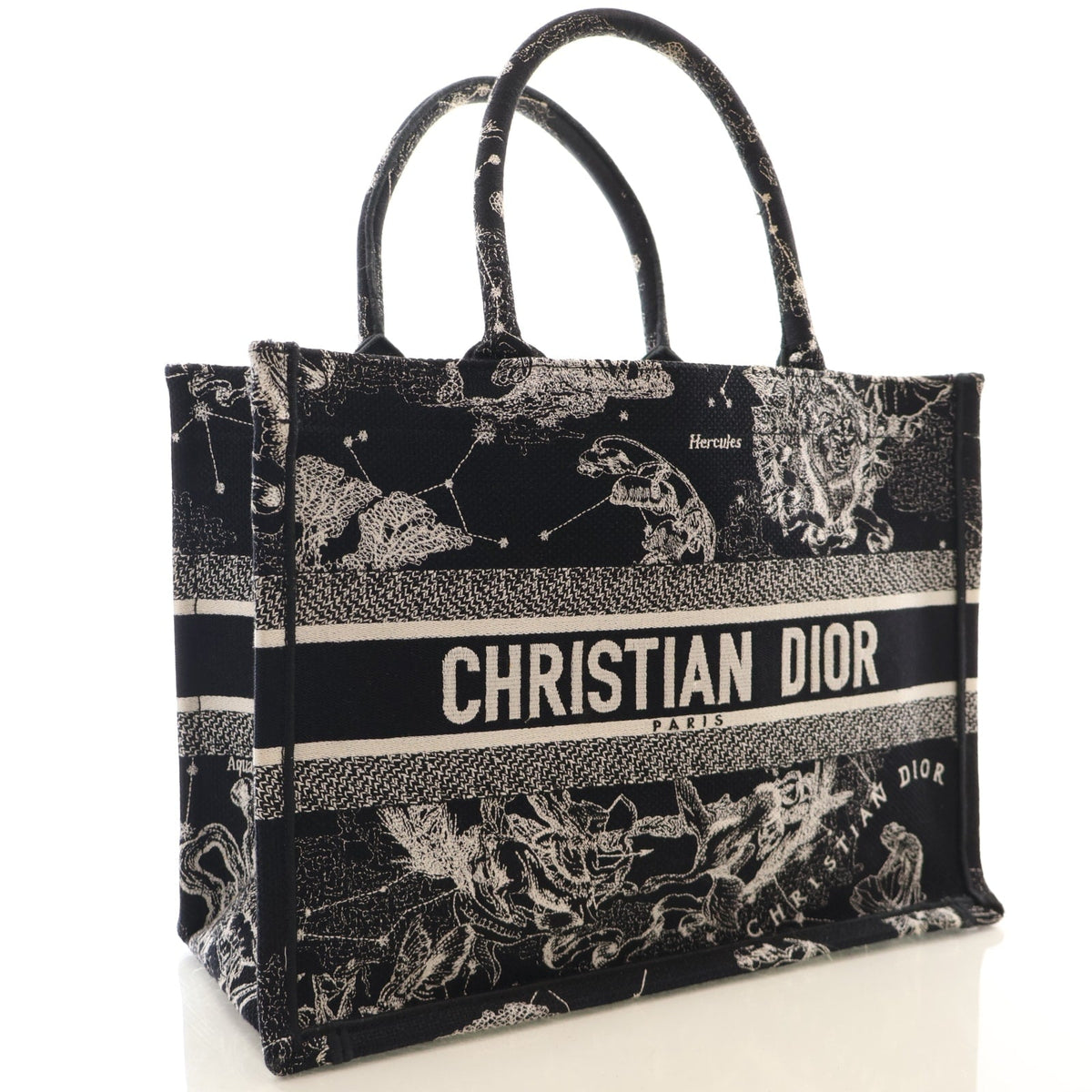Christian Dior Medium Zodiac Toile De Jouy Book Tote