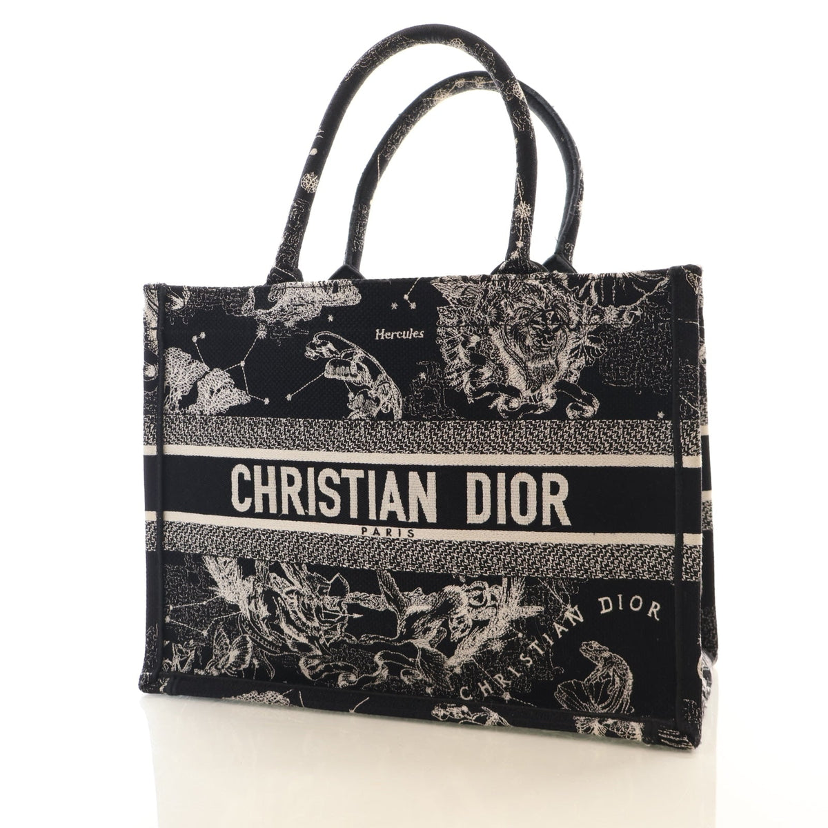 Christian Dior Medium Zodiac Toile De Jouy Book Tote