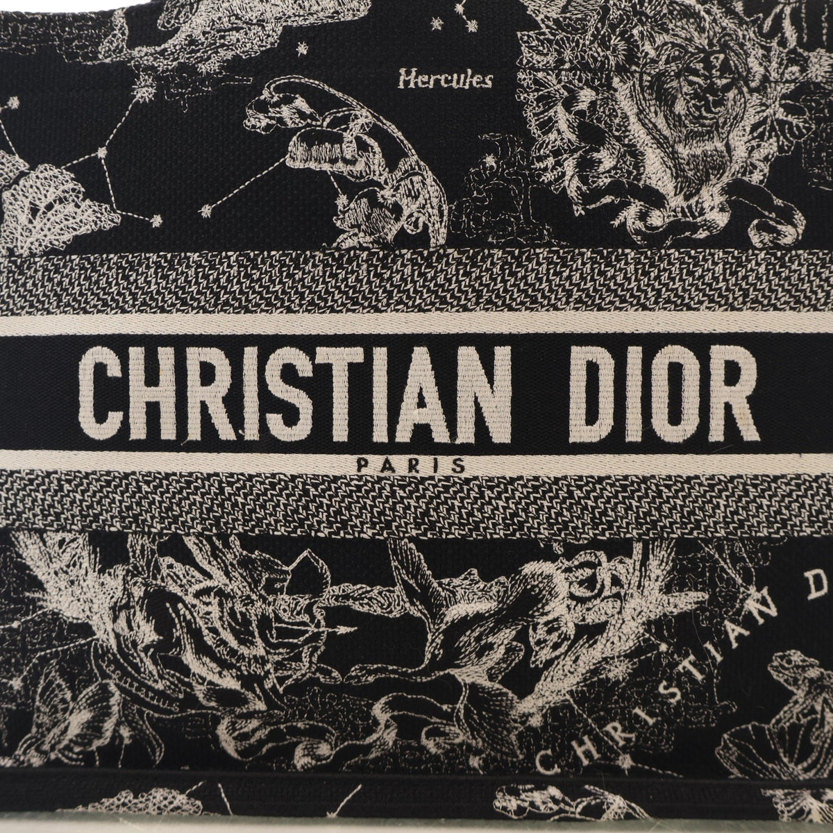 Christian Dior Medium Zodiac Toile De Jouy Book Tote